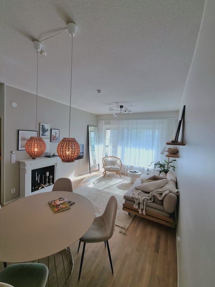 OneBedroom apartment Apartments for Rent in Helsinki, Finland Airbnb