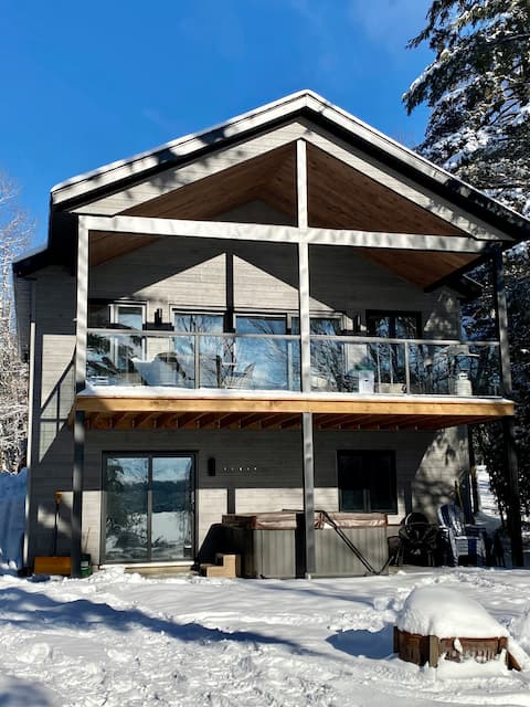 Loup Gris - Bord du Lac Libby