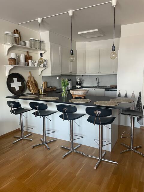 Strict and central apartment