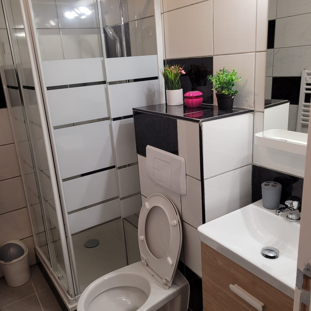 A modern bathroom is displayed, featuring a glass shower enclosure with clear panels. A minimalist vanity holds a small potted plant and a sink with chrome fixtures. The walls combine white and black tiles, providing a clean and contemporary look.