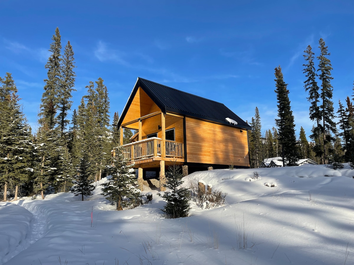A modern cabin, elevated on stilts, is surrounded by snow-covered ground and evergreen trees. Its wooden exterior is complemented by a black metal roof. A spacious porch extends from the front, providing a welcoming entrance to the natural landscape.