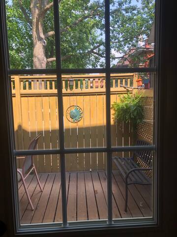 Authentic Glebe Annex Home Parking/Patio/BBQ gallery image 3