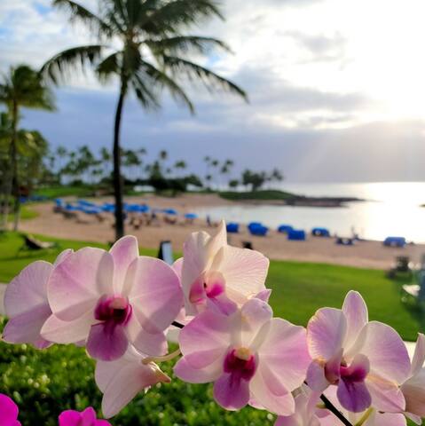 Beachfront Fun KoOlina Resort Club+Amenities. 3BR gallery image 3