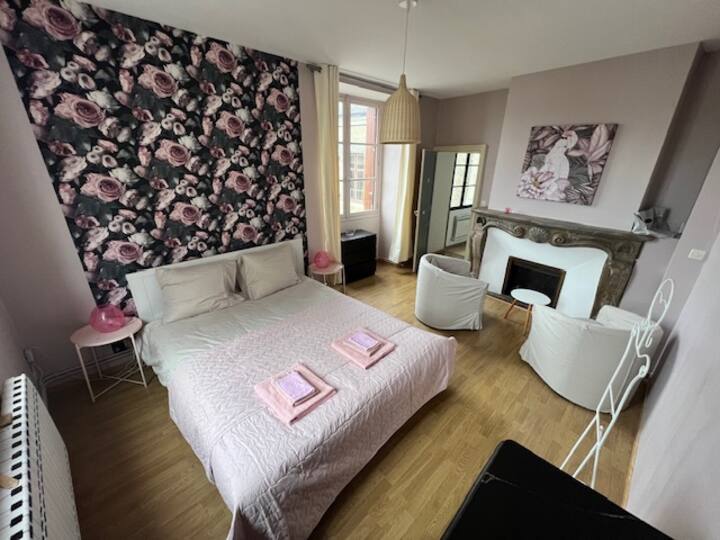 Carpe Diem, large house 25 min from Beauval Houses for Rent in