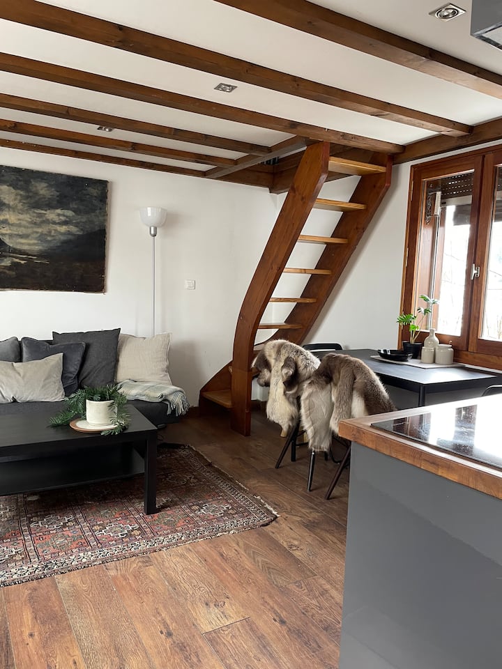 Charming 1 bed in central Saint Jean d' Aulps Apartments for Rent in SaintJeand'Aulps