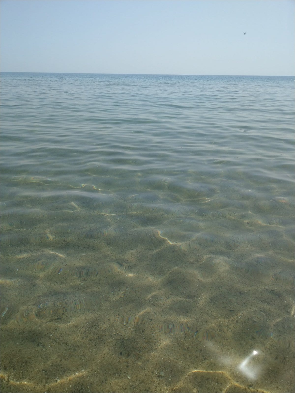 A calm, clear sea is depicted with gentle ripples across the surface, reflecting soft light. The shallow water reveals a sandy bottom, creating a serene coastal scene. The horizon blends seamlessly with the bright blue sky, enhancing the tranquil ambiance.