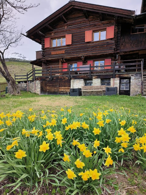 Chalet Schatz ; Idyll in Arosa