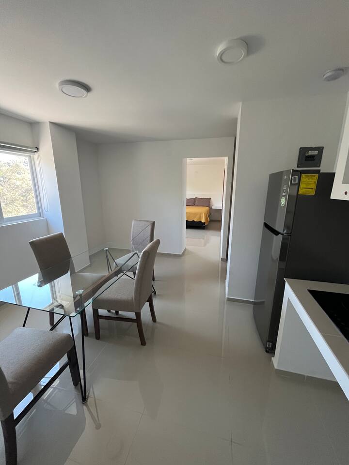 Great location! Furnished Apartments for Rent in Aguascalientes