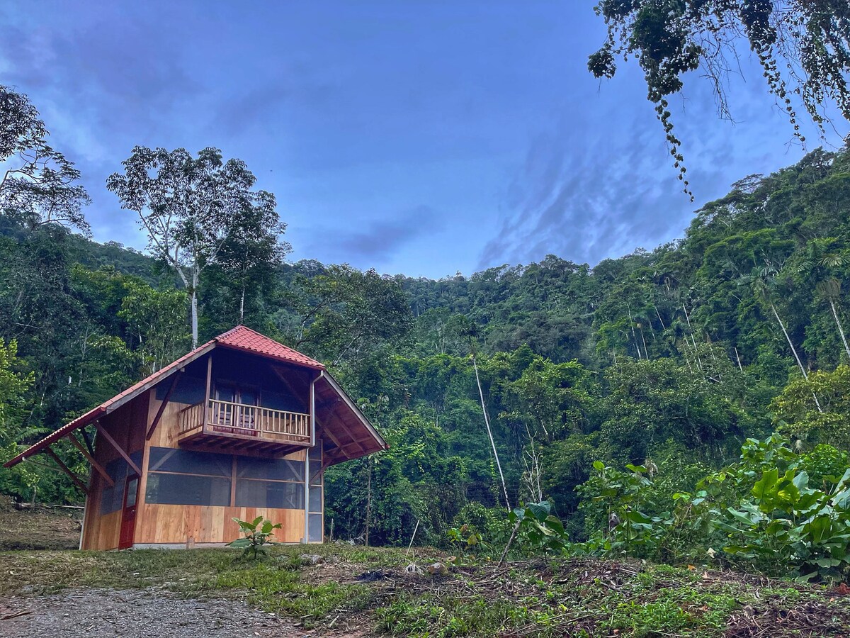 A rustic tiny home with a clay tile roof is featured amidst lush greenery, showcasing large screened windows that allow views of the surrounding forest. The structure is elevated, with a small balcony visible on the upper level, blending harmoniously with the natural landscape.