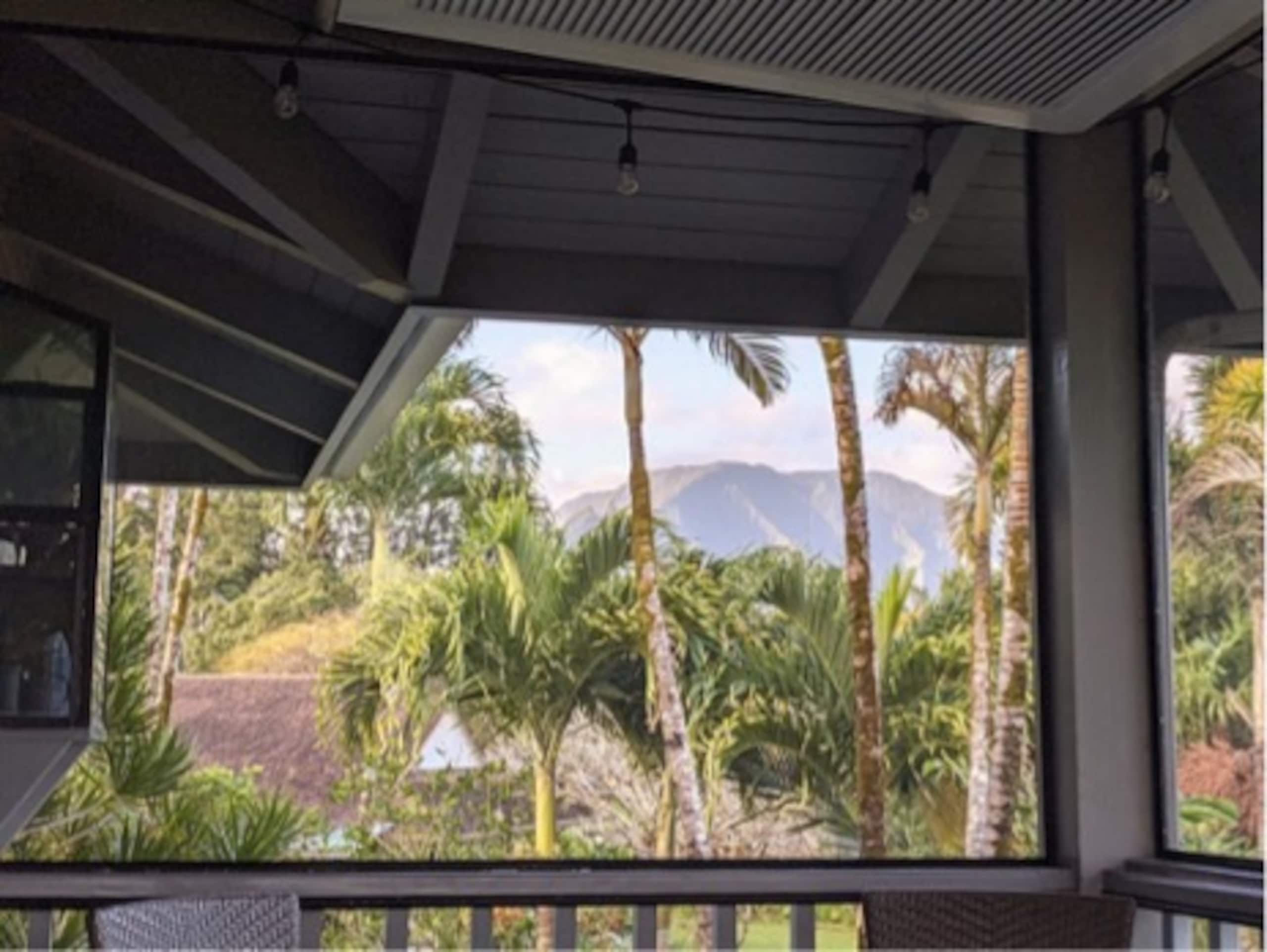 Home in Princeville · ★5.0 · 4 bedrooms · 5 beds · 2 baths - Image 17