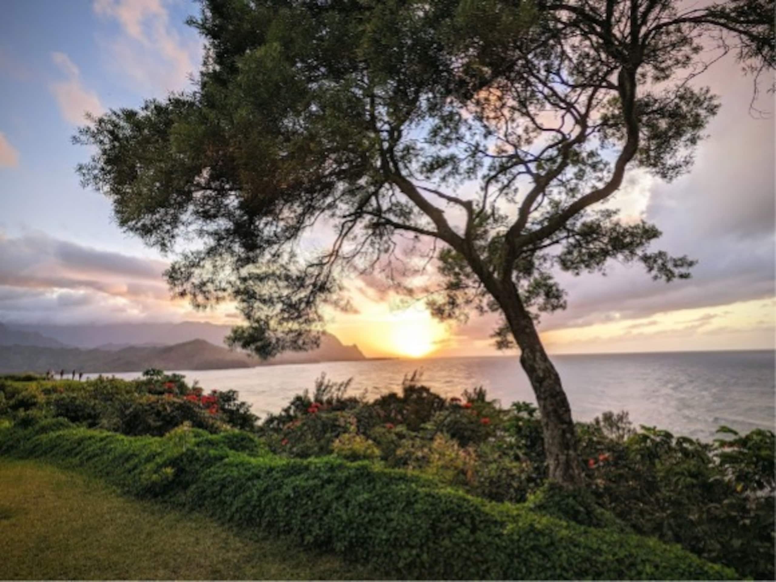 Home in Princeville · ★5.0 · 4 bedrooms · 5 beds · 2 baths - Image 22