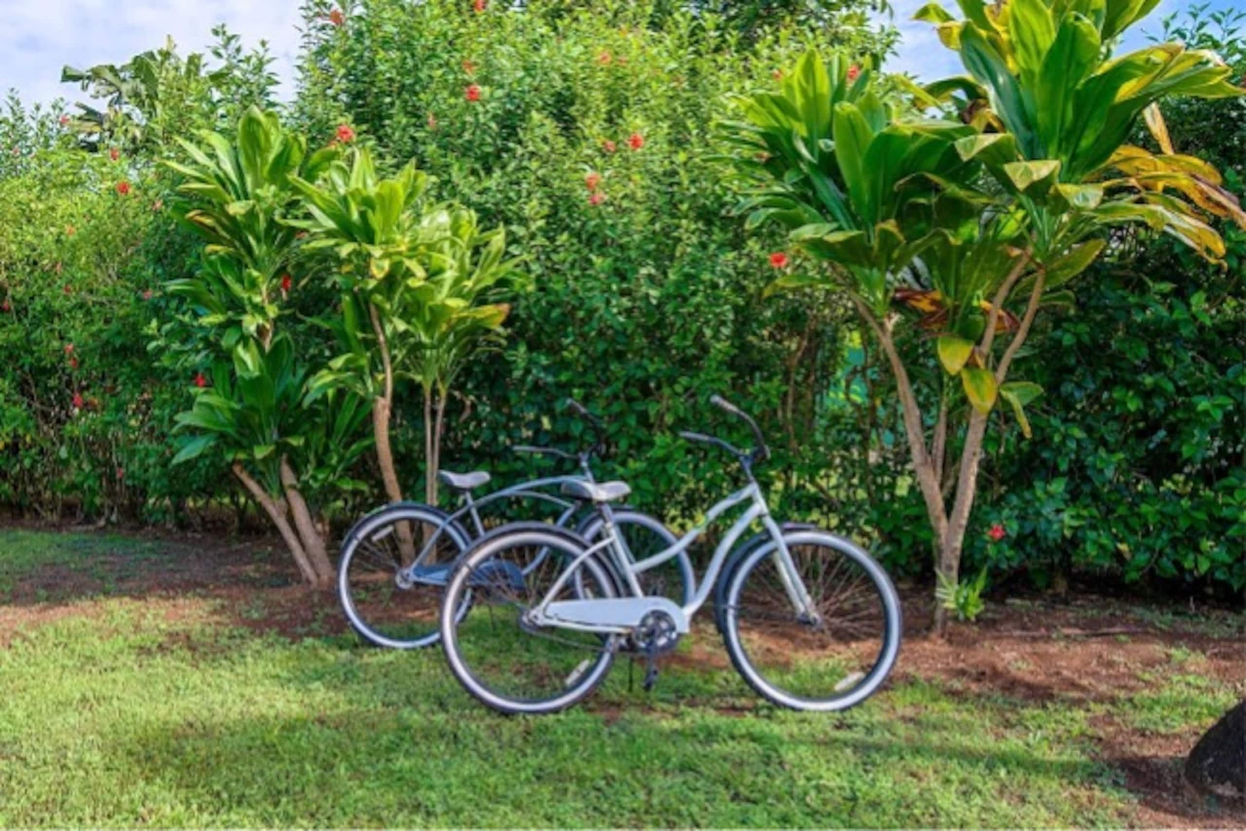 Home in Princeville · ★5.0 · 4 bedrooms · 5 beds · 2 baths - Image 13