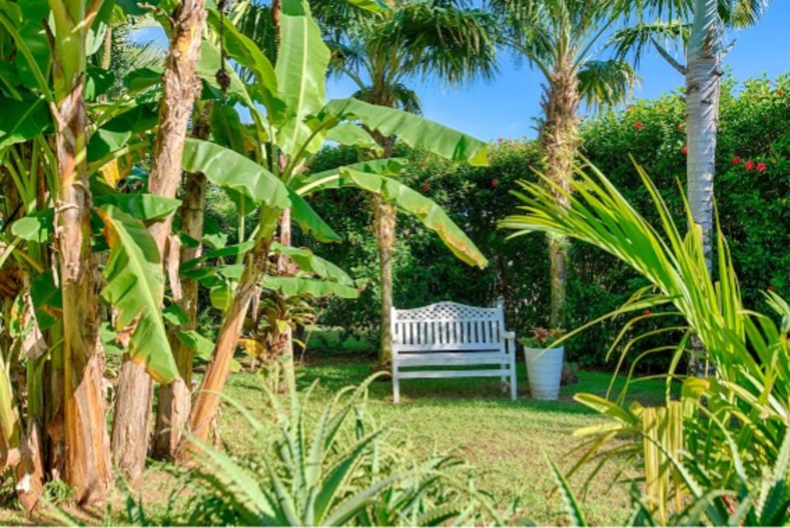 Home in Princeville · ★5.0 · 4 bedrooms · 5 beds · 2 baths - Image 11