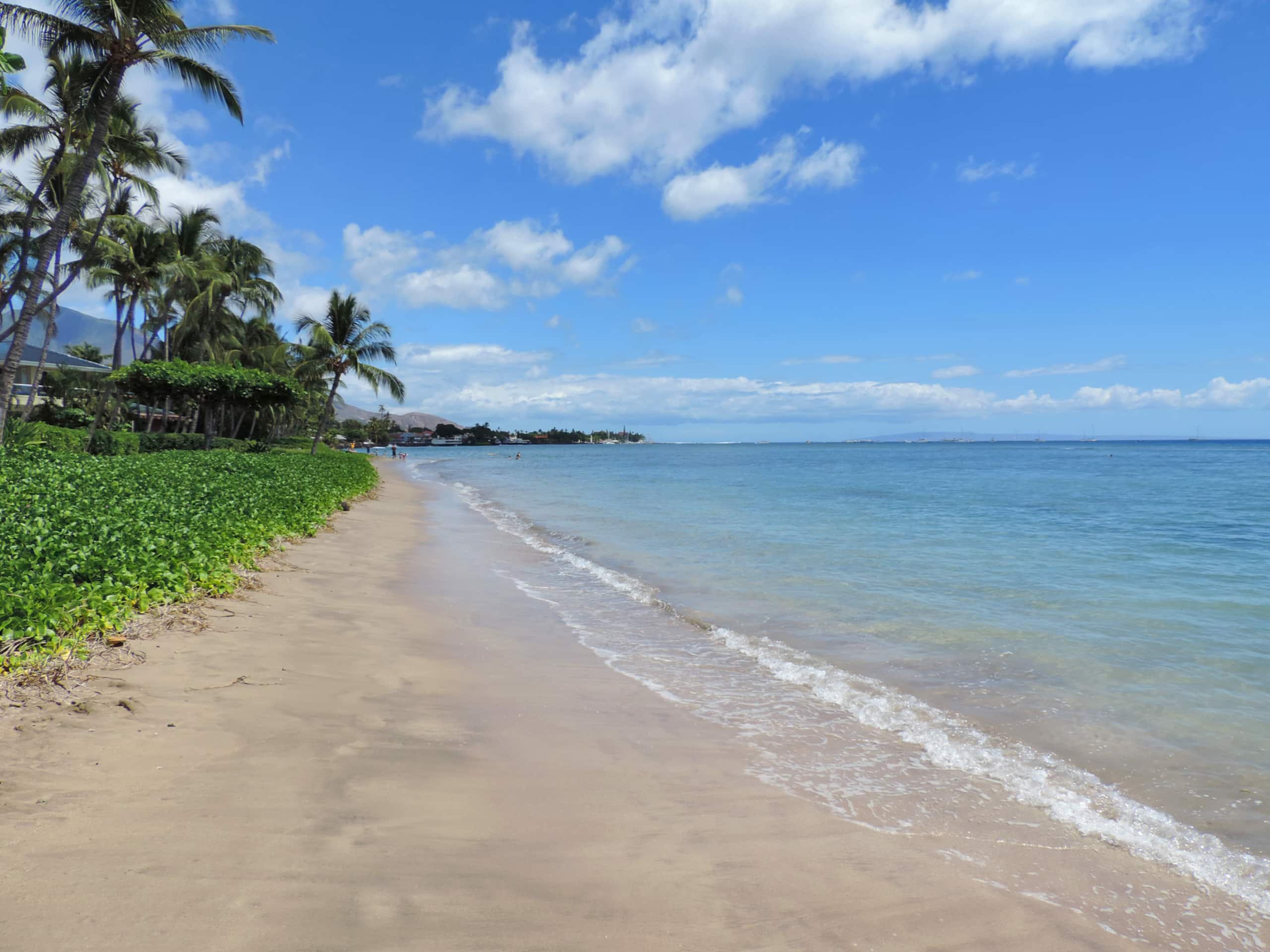 High End Oceanfront on the beach! 623 - Image 13