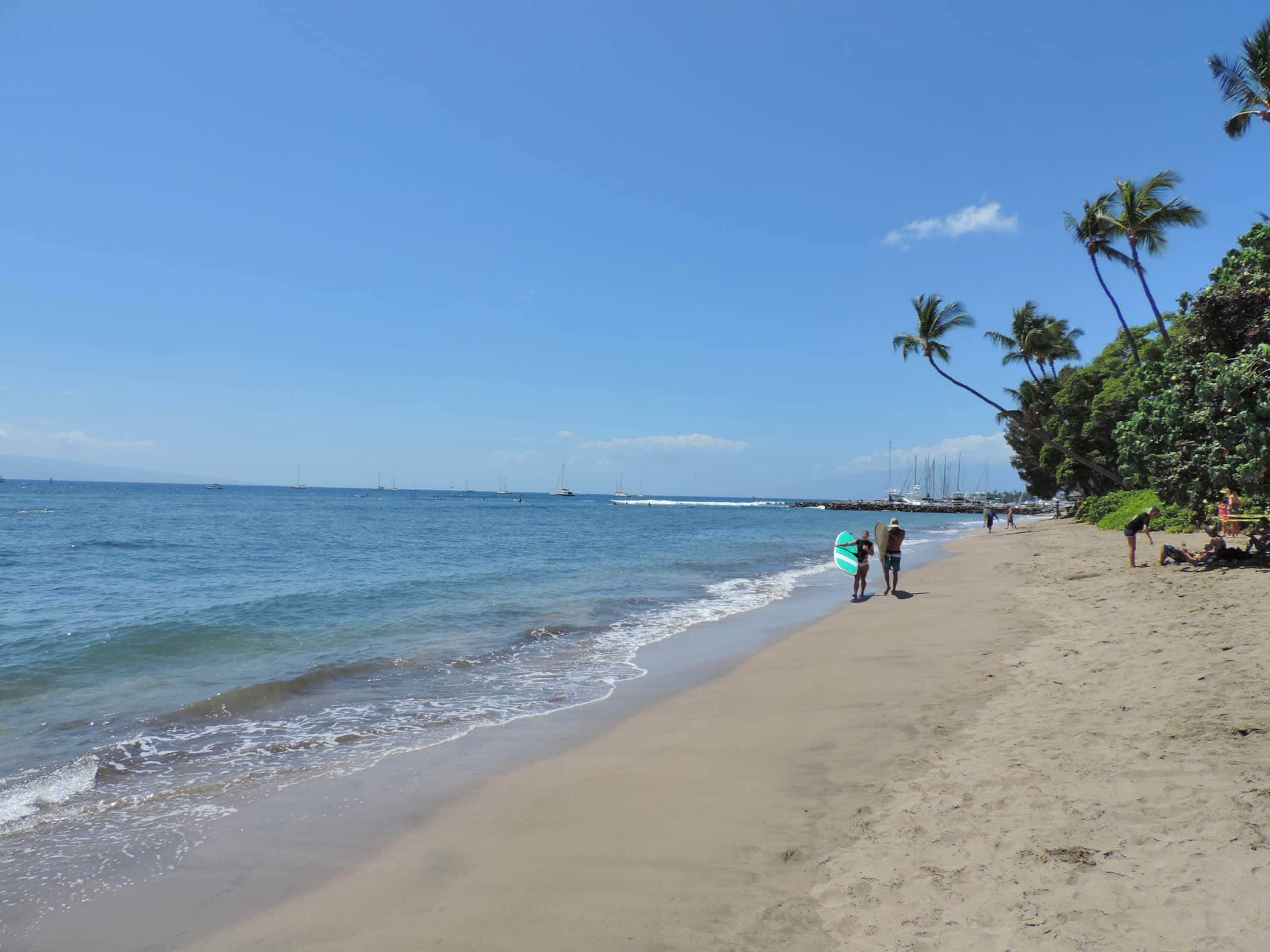 High End Oceanfront on the beach! 623 - Image 14
