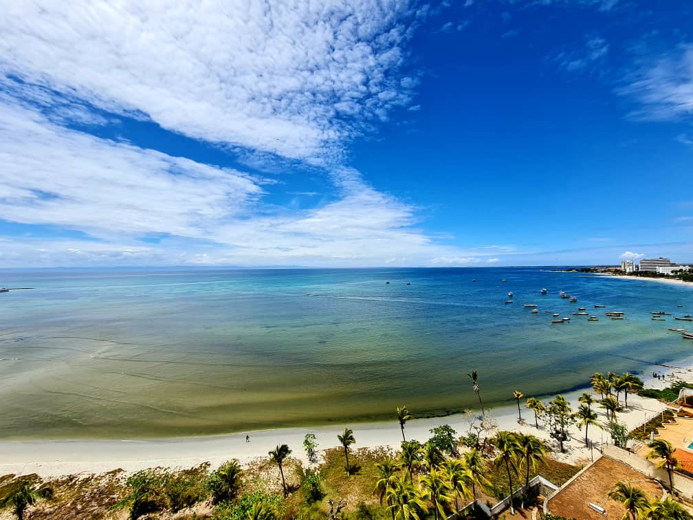 A serene view of a calm sea is captured, showcasing varying shades of blue and green water meeting a sandy beach. Sparse boats are visible in the distance, and gentle waves lap against the shore. Lush palm trees frame the lower part of the image.