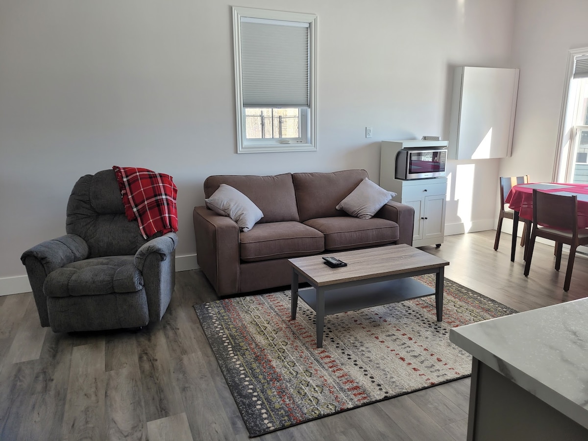 A living area features a comfortable couch and a recliner, complemented by a patterned area rug. Natural light enters through two windows, illuminating the space. A dining table and chairs are positioned nearby, with a microwave and a cabinet visible in the background.