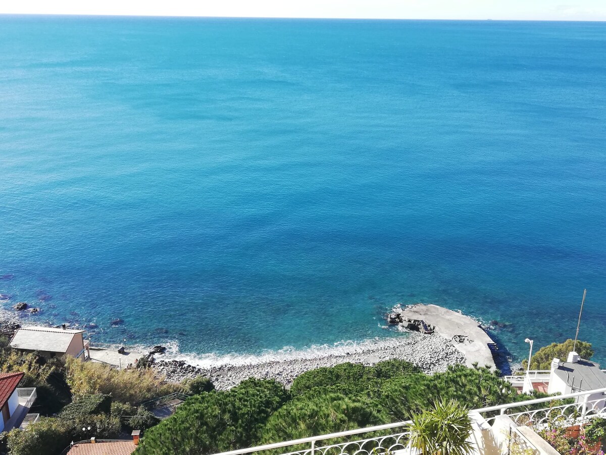A panoramic view captures the tranquil sea, showcasing varying shades of blue and the rocky shoreline below. Gentle waves can be seen lapping at the beach, surrounded by lush greenery that creates a serene coastal atmosphere.
