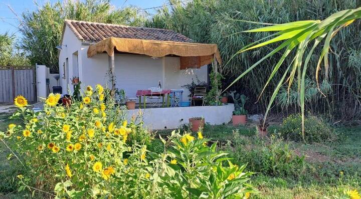Petite Maison Champêtre - Hyères