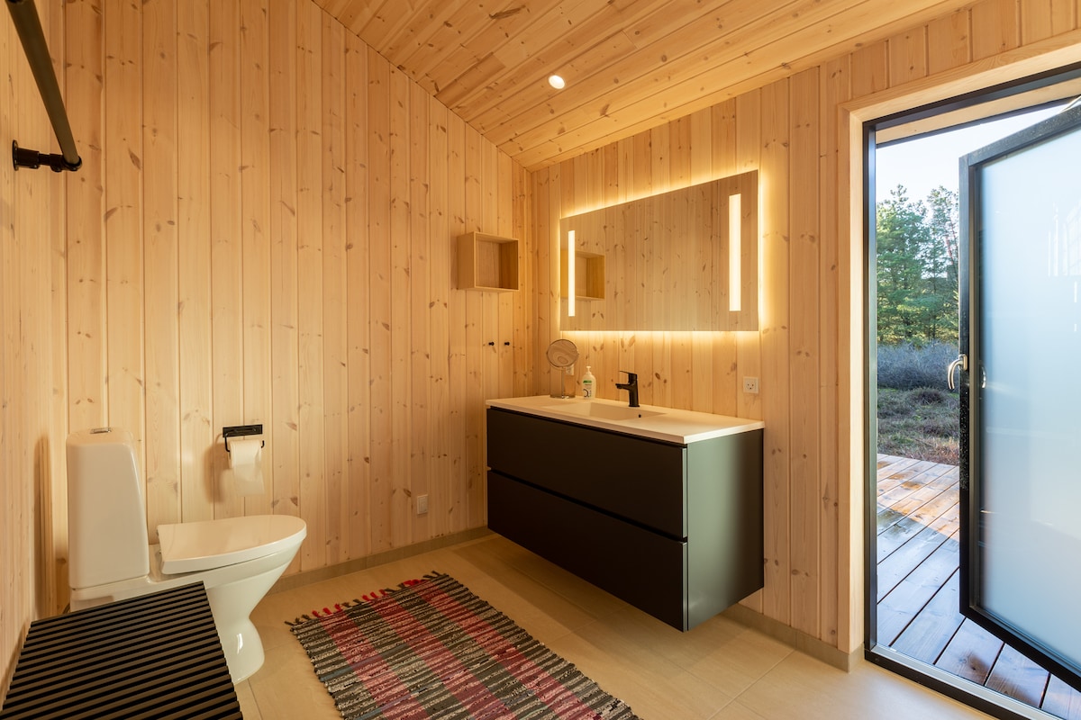 A modern bathroom is presented with wooden paneling and sleek finishes. A vanity with a mirrored wall light provides ample lighting. A white toilet is situated adjacent to a glass door, leading to an outdoor area. A colorful rug adds a subtle touch of warmth.