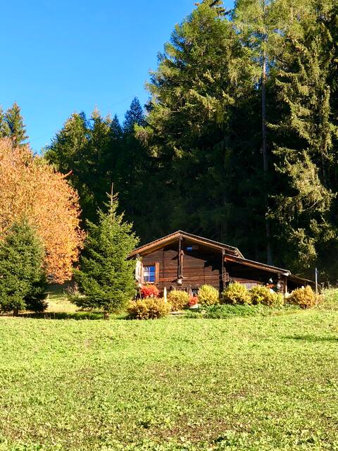 Alpine hut with nature experiences in the Aletsch area