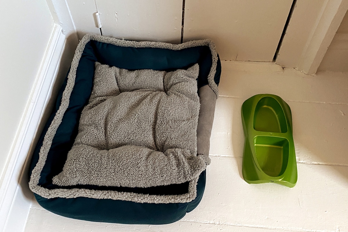 A cozy dog bed is situated in the corner, featuring soft gray and dark blue fabric. Next to it, a vibrant green double dog bowl is positioned, ready for use.
