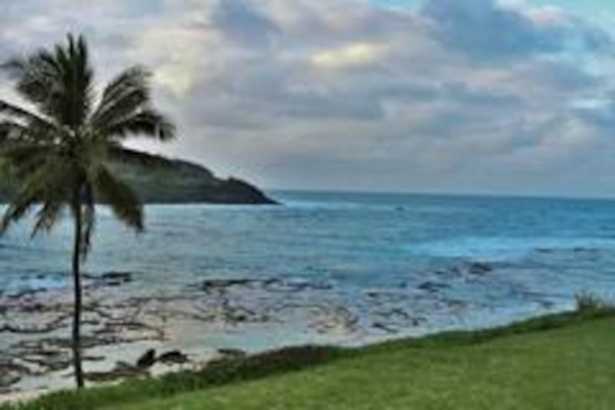 This Is It Awesome Dreamy Beach Stunning Views - Photo 32