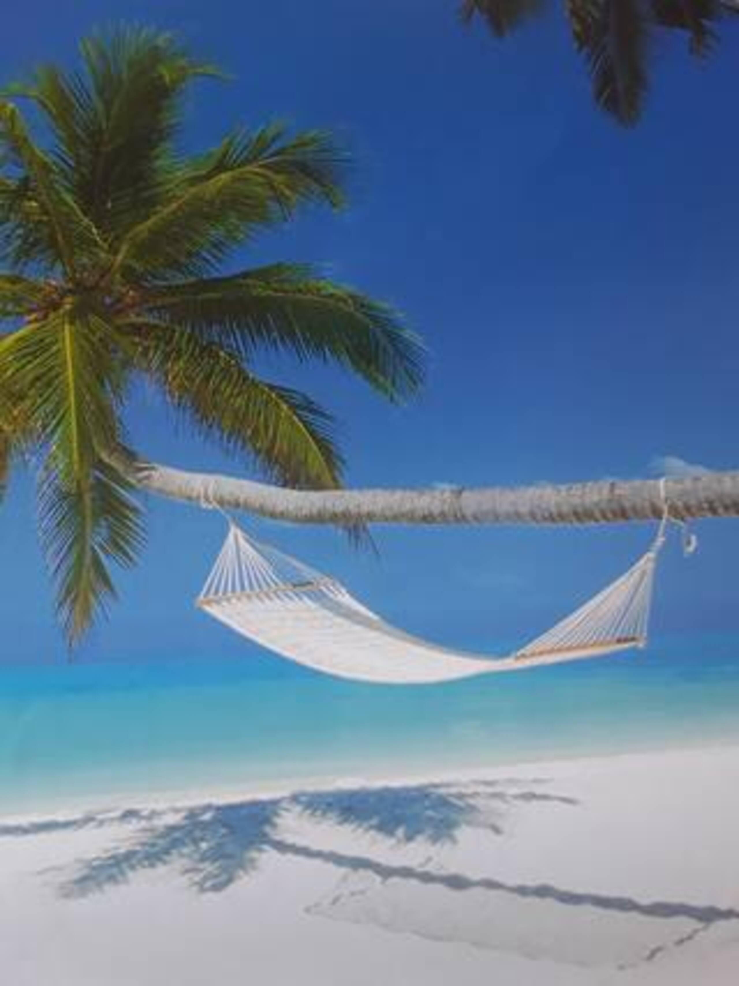 This Is It Awesome Dreamy Beach Stunning Views - Photo 34