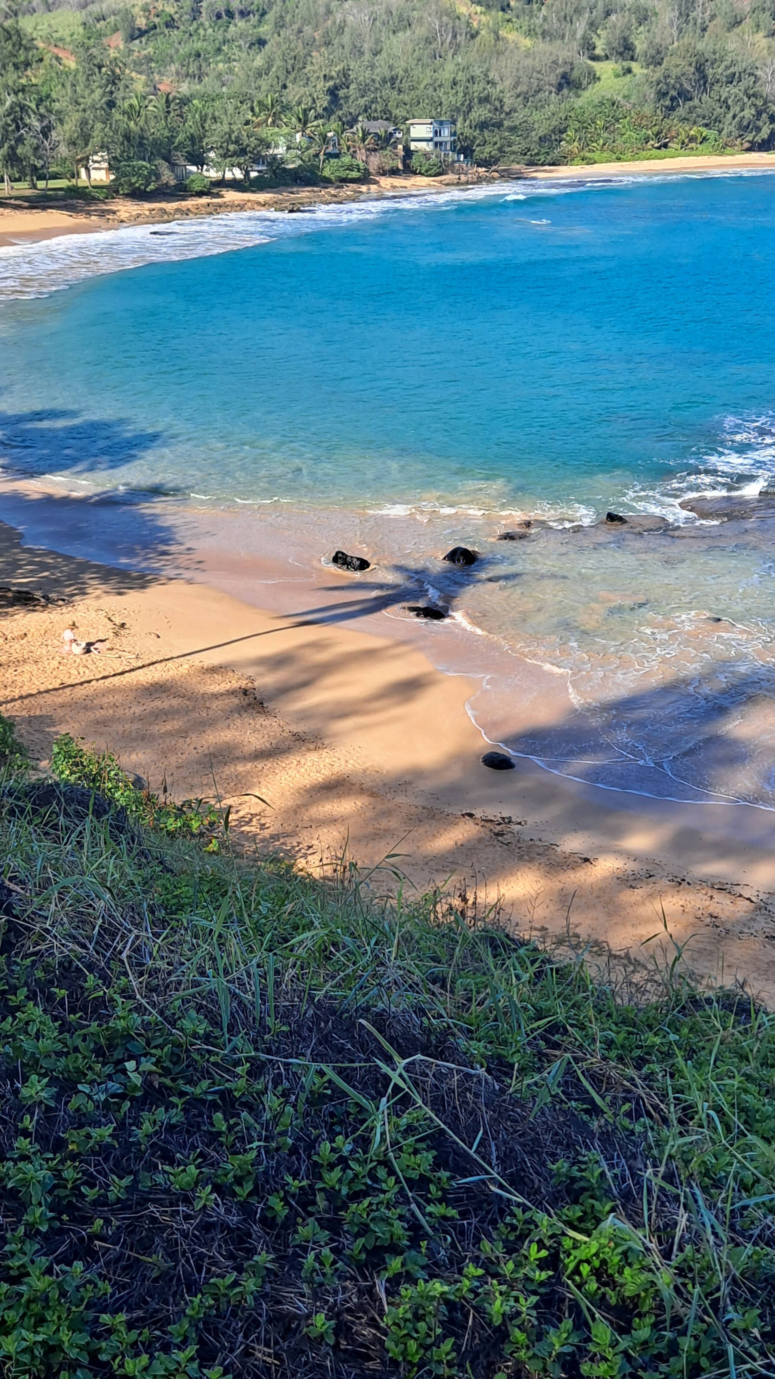 This Is It Awesome Dreamy Beach Stunning Views - Photo 41