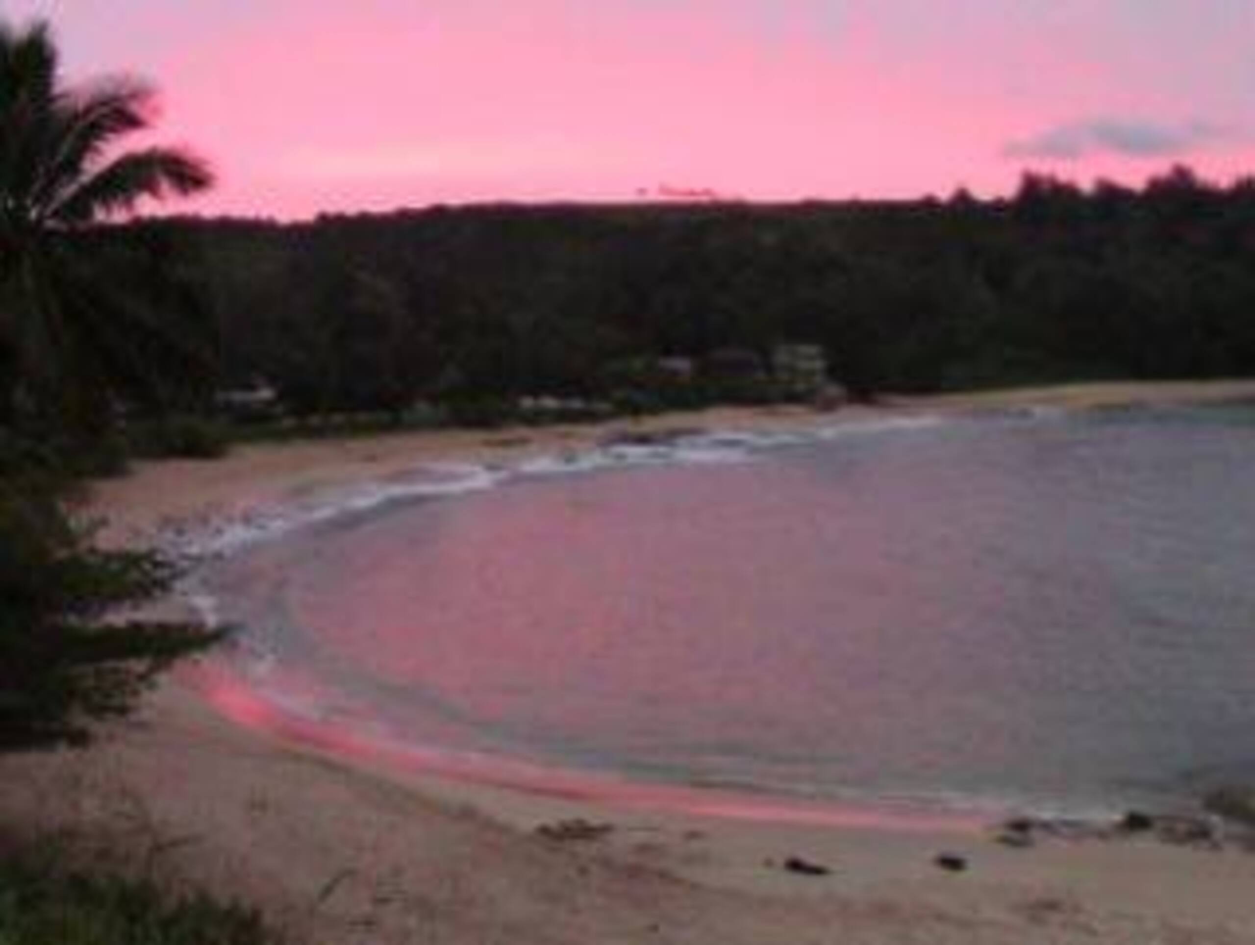This Is It Awesome Dreamy Beach Stunning Views - Photo 29