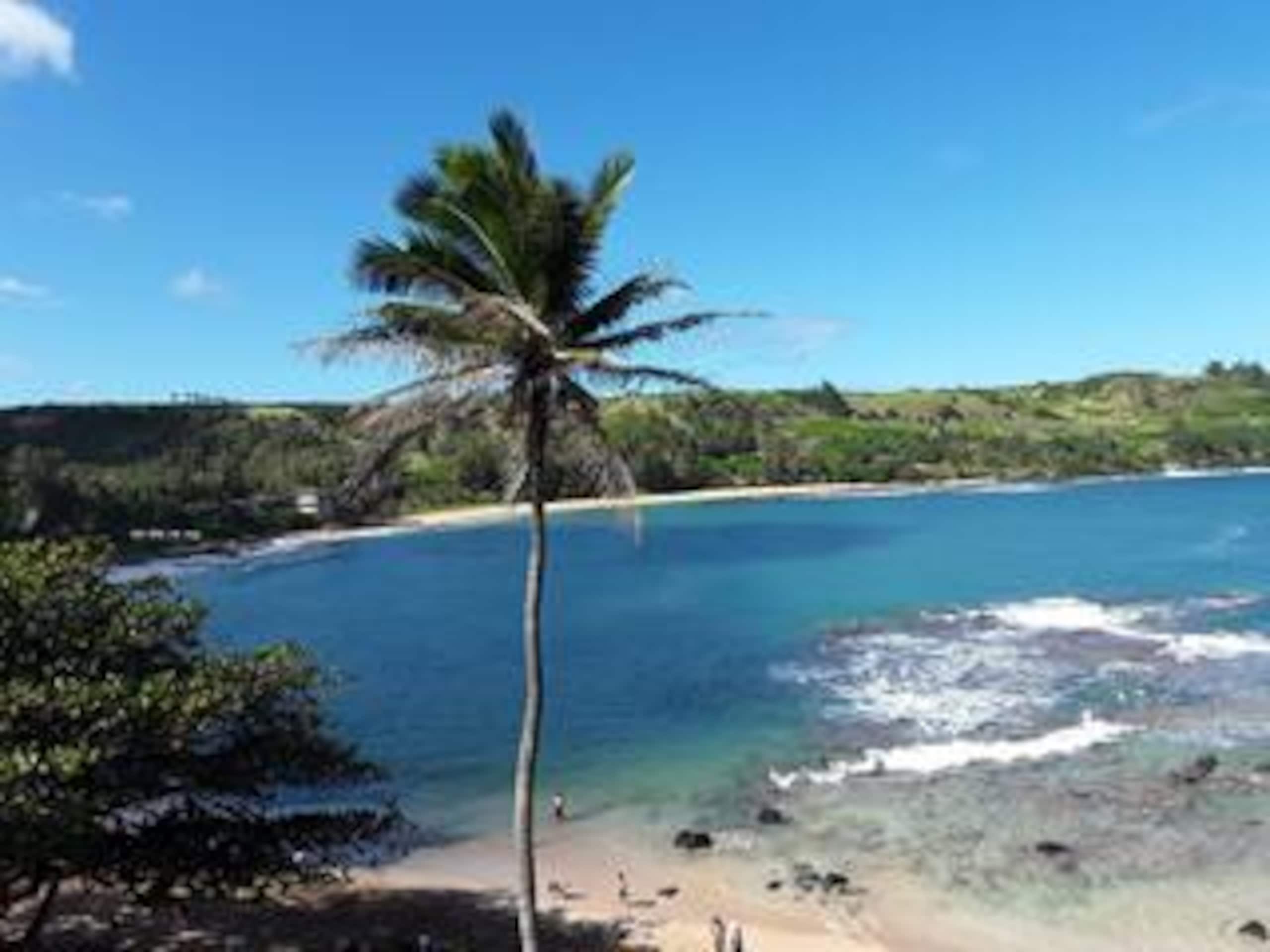 This Is It Awesome Dreamy Beach Stunning Views - Photo 36