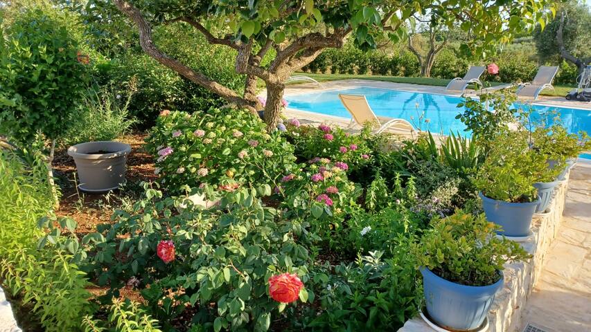 Tuttialtrullo-Valle d’Itria-Martina franca gallery image 5