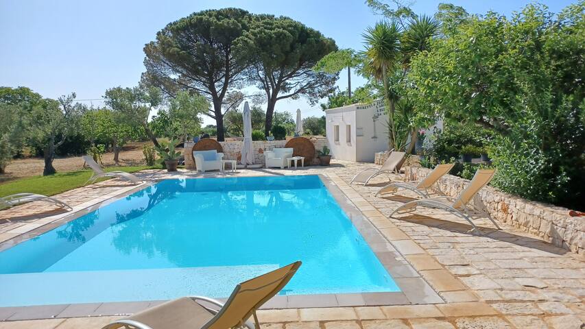 Tuttialtrullo-Valle d’Itria-Martina franca gallery image 3