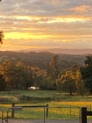 Eagles View – The Residence – Yarra Valley