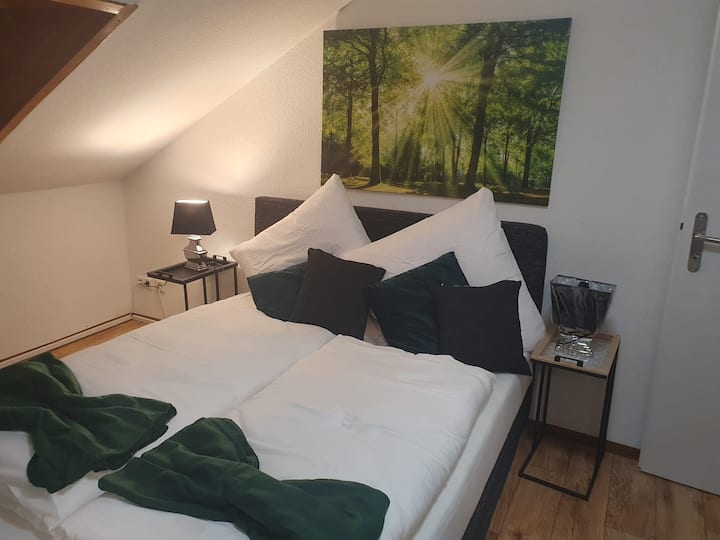 Cute apartment with a mountain view Apartments for Rent in Triberg im