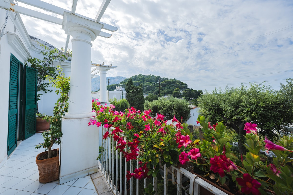 A balcony adorned with vibrant pink flowers offers a scenic view of greenery and distant hills. White columns support a pergola, and blue tiled flooring provides a cohesive aesthetic. Shuttered windows frame the space, enhancing the villa's charming ambiance.