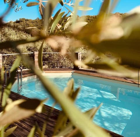 Le Jardin Des Oliviers