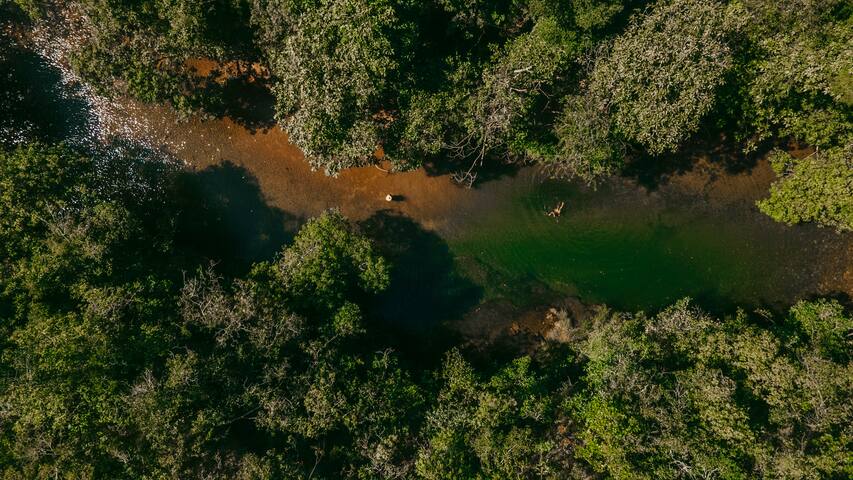 Entire home with 1 bedrooms in Alto Paraíso De Goiás - Vila Floresta - Chalé Pato Mergulhão