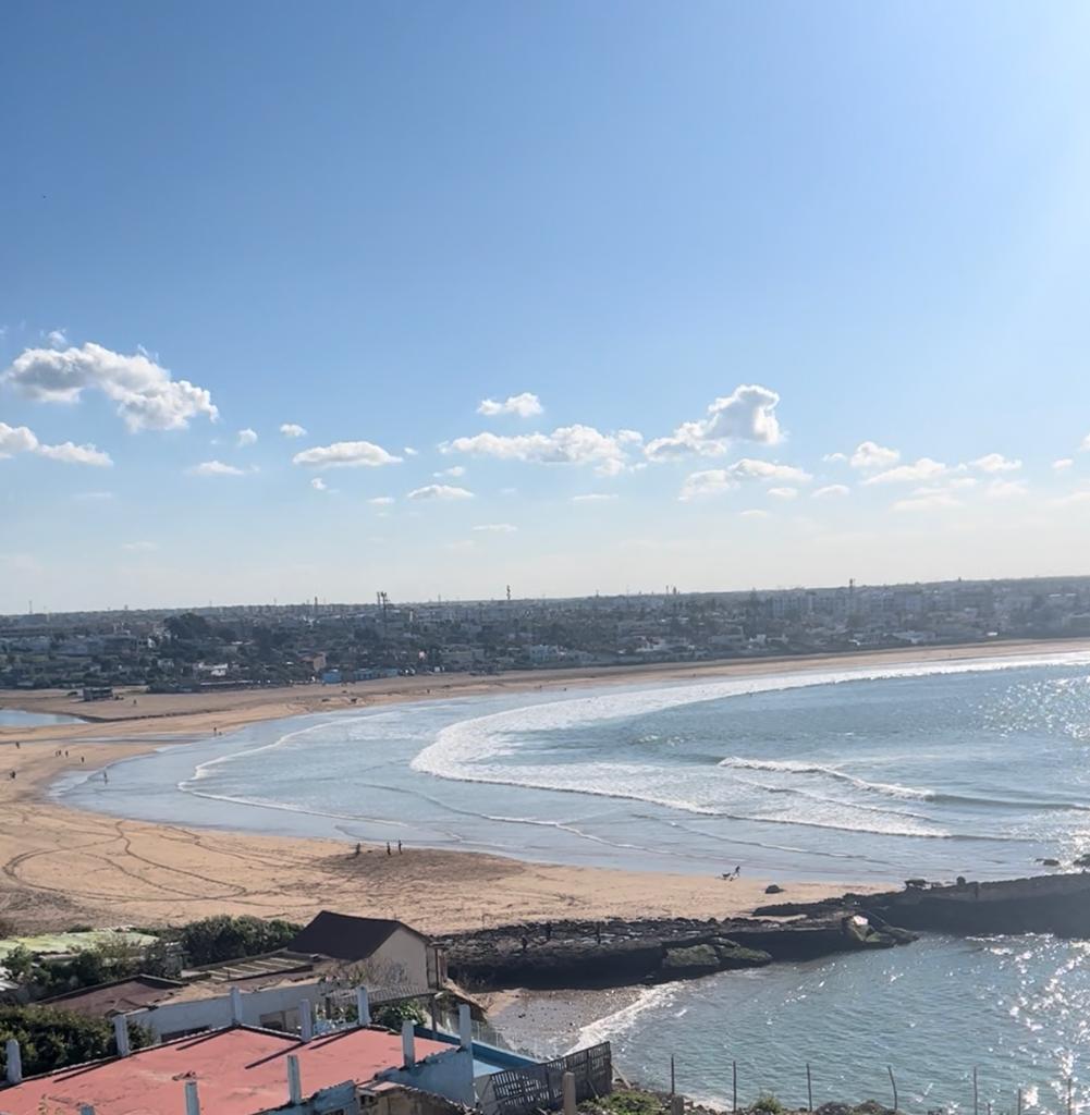 A serene coastal view captures a gentle curve of sandy beach meeting the calm sea. Waves softly lap against the shore under a clear blue sky, with scattered clouds dotting the horizon. A glimpse of a distant town is visible, enhancing the scene's tranquility.