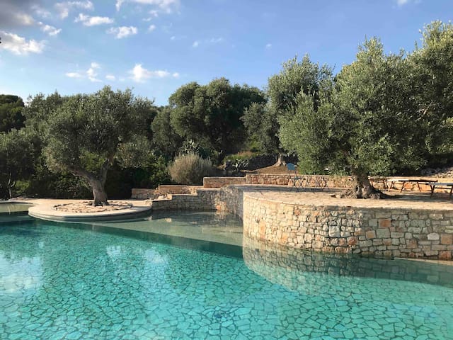 A paradise among olive trees