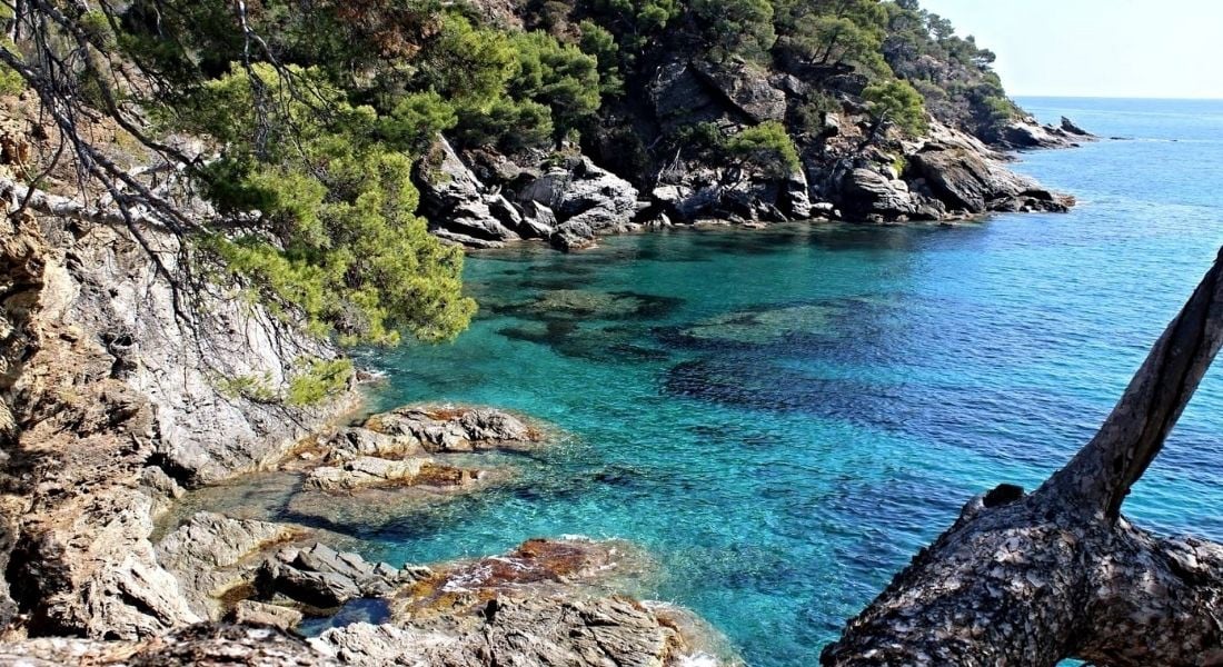 A rocky coastline features clear turquoise waters framed by lush green trees. The smooth stones and rugged cliffs create a natural harbor, while the sunlight sparkles on the water's surface, highlighting the serene and inviting environment.