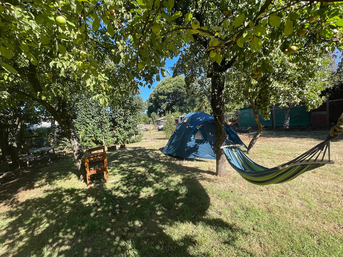 A spacious outdoor camping area is surrounded by trees, providing ample shade. A blue tent is pitched on the grass, with a comfortable hammock strung between two trees. A wooden structure is visible nearby, complementing the natural setting.