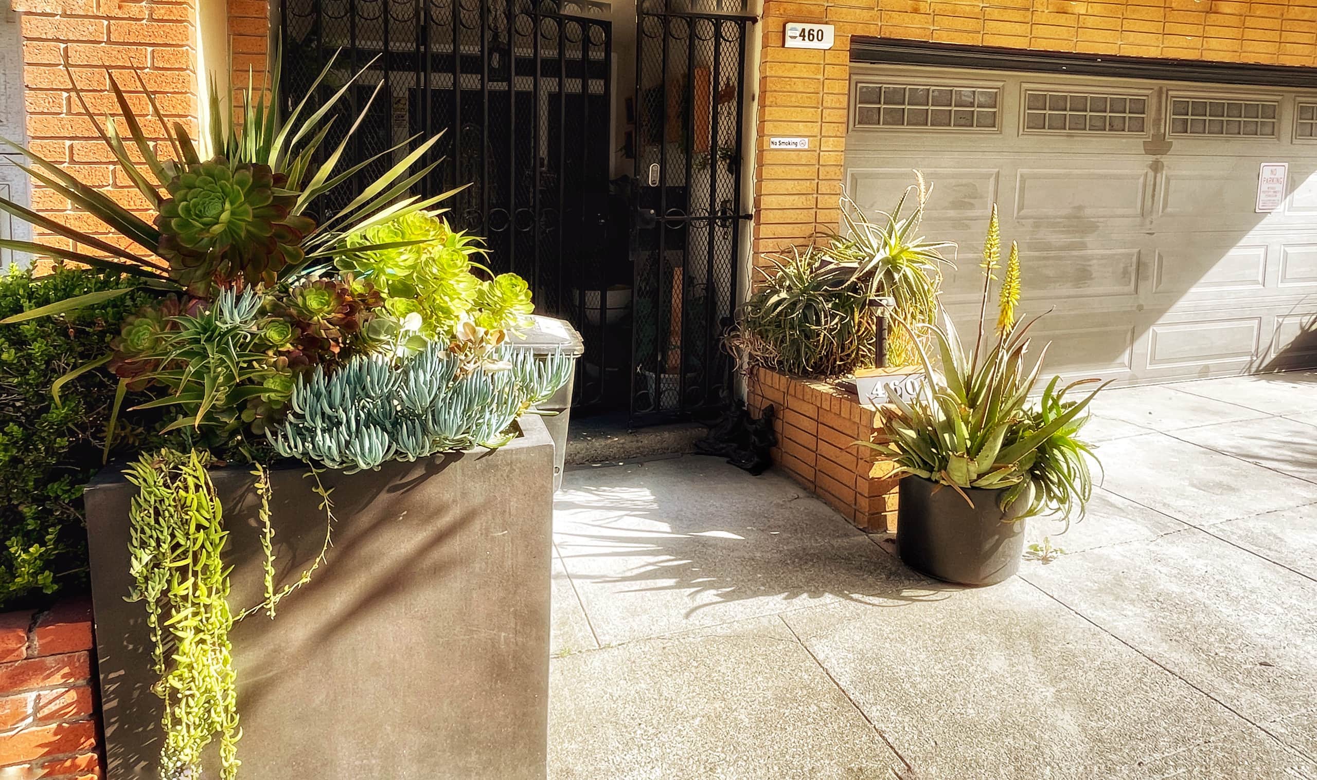 Home in San Francisco · ★4.88 · 4 bedrooms · 6 beds · 3 baths - Image 5