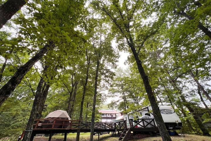 Tall trees surround the camping area, providing a natural canopy. A charming camping trailer and a dome tent are positioned on a wooden deck, creating a serene outdoor space. The backdrop features a cabin nestled among the trees, enhancing the rustic ambiance.