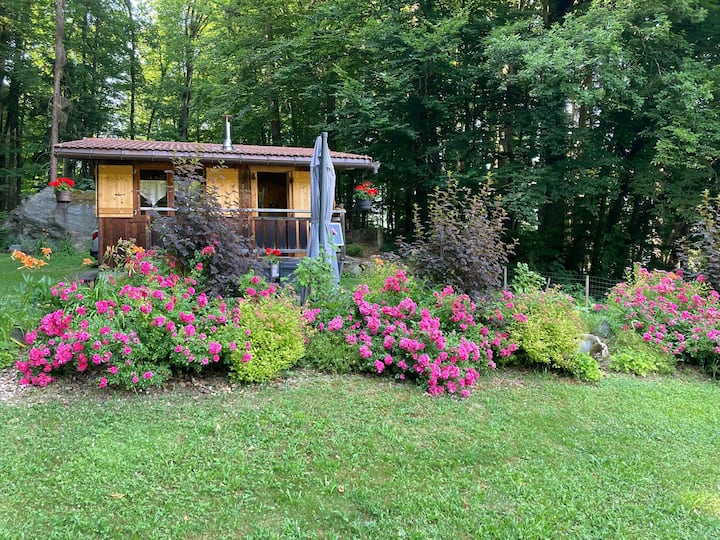 Le chalet du Lavouet