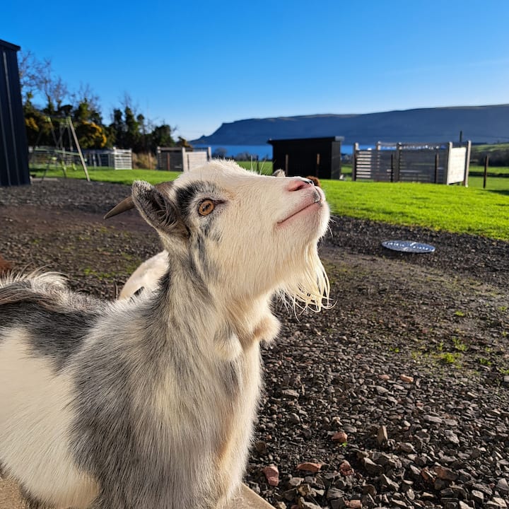 Knockaderry Luxury Pod (Glens Glamping) - Cushendall