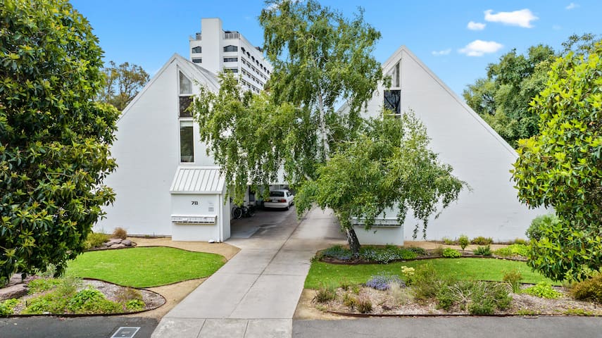 The Warbling Magpie gallery image 2