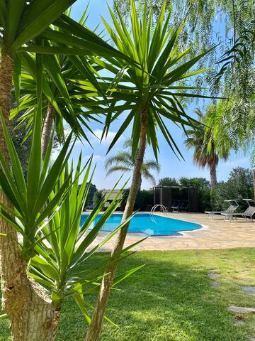 Ulivo by Villa Rita gallery image 3