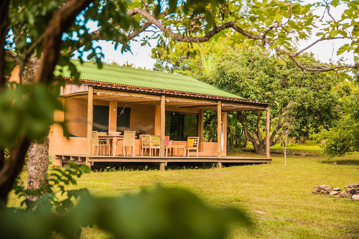 The cabin is framed by lush greenery, showcasing a spacious porch with multiple wooden chairs and a dining table. A green roof complements the natural surroundings, while large windows provide a glimpse into the inviting interior. A fire pit is situated near the entrance.