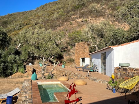 Casa Torre:striking architecture